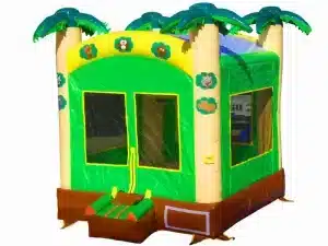 Mini Bounce House rental