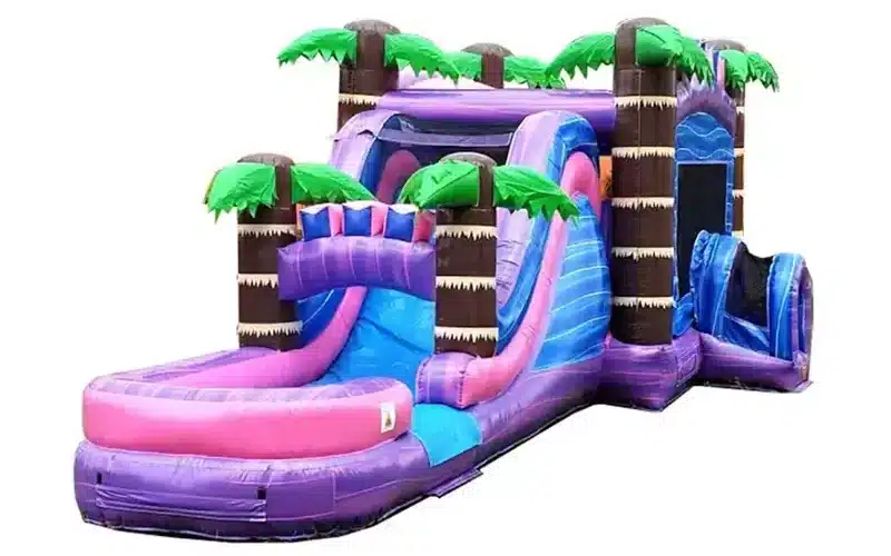 The Ultimate Outdoor Experience Bounce Houses for Every Season